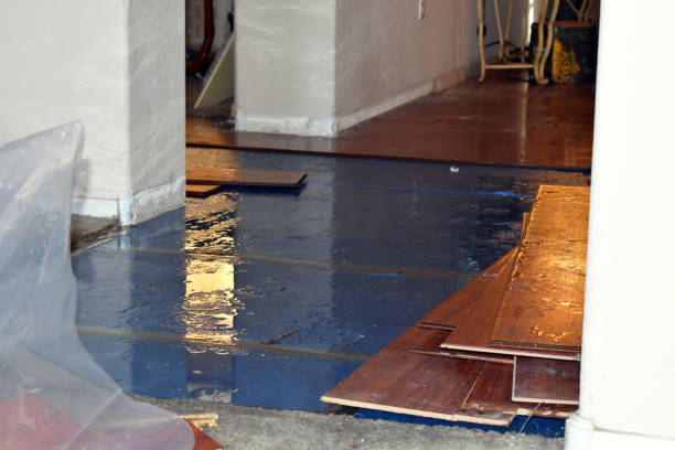 Professional Water Damage Restoration technician working in Dallas, OR